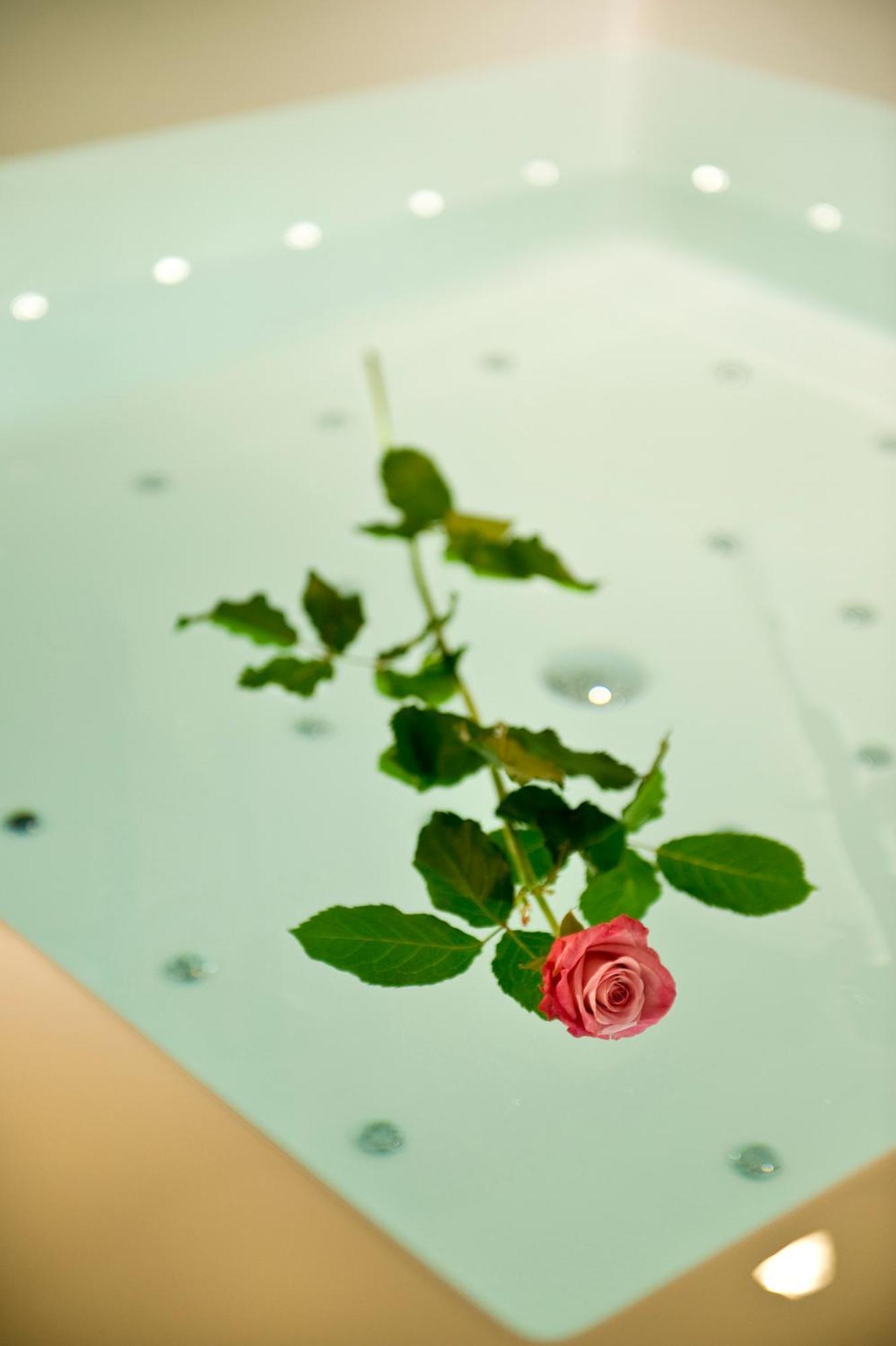 Viola Mhotel Grumello del Monte Zewnętrze zdjęcie